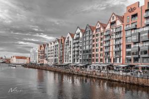 northernform 17
