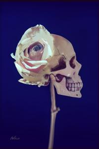 Life Before Death