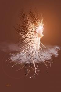 Roots 